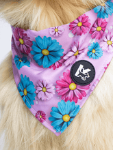 Dog Bandana - Candy Daisy Parade